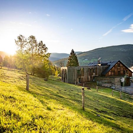 Amenity Hotel & Resort Spindleruv Mlyn Exterior photo